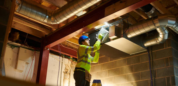 Best Residential Air Duct Cleaning  in Christopher, IL