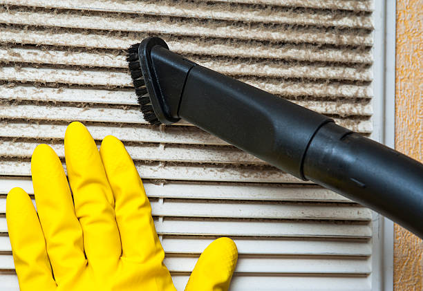 Best Affordable Duct Cleaning Services  in Christopher, IL